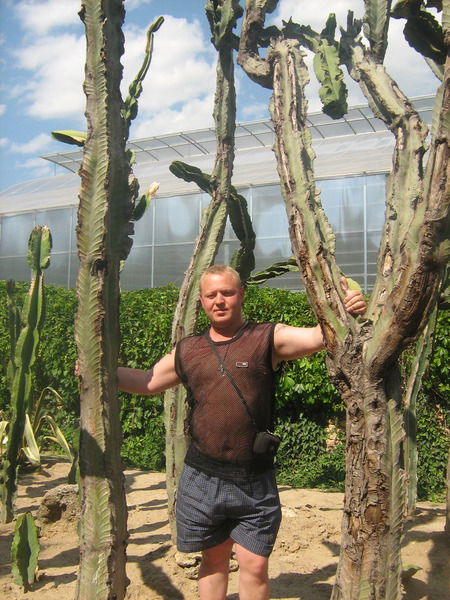 Александр Захаров