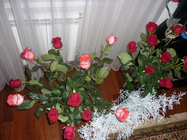 Сауле Шарипова