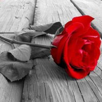 Танюшка Катаргина