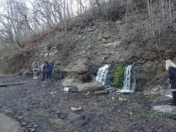 Максим Алексеев