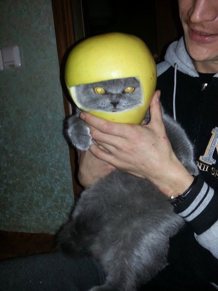 Ленар Галиев