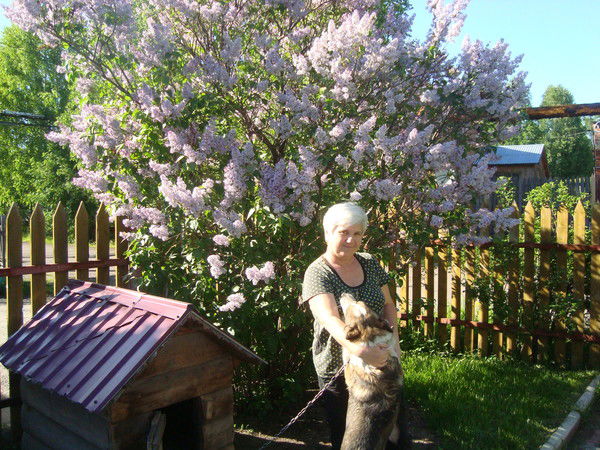 Вера Ступенькова