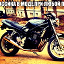 Евгений Цыганов