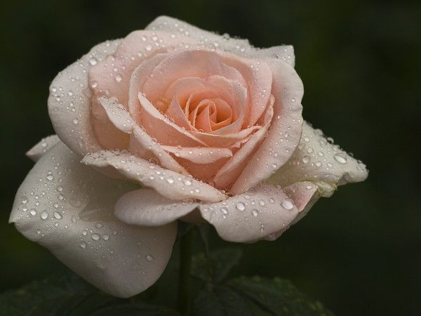 Людмила &sini$Zi