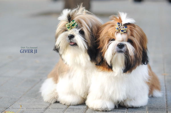 Наталья Кириллова (Перфильева)