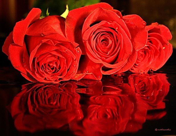 Айгуль Атишева