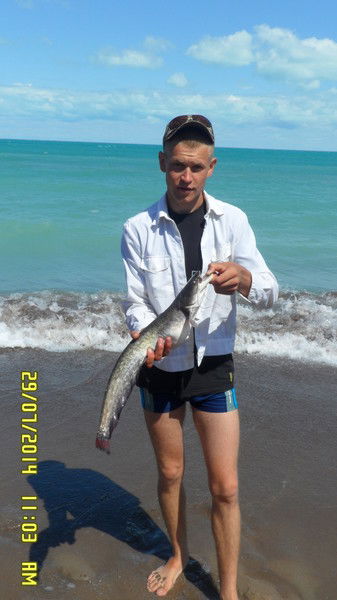 Дмитрий Заднеев