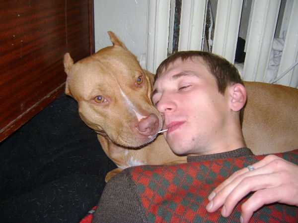 Денис Шаройко