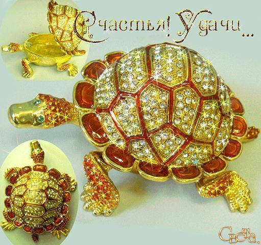 Елена Девришева