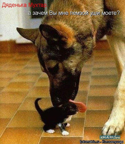 Люда Нечаева