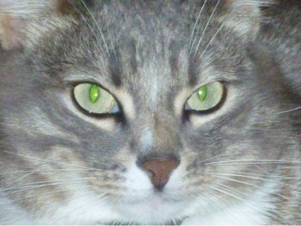 Татьяна Власова