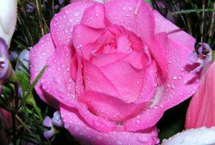 Алия Алтынбекова