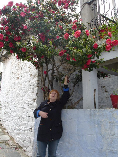 Наталия Жукова