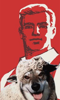 Илдус Сметчик