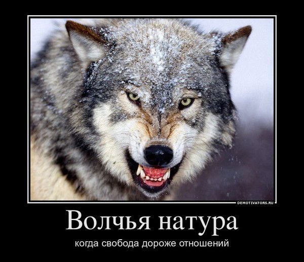 Кирилл Шуткевич