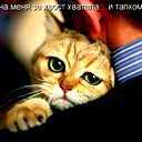 Александр Дегтярёв