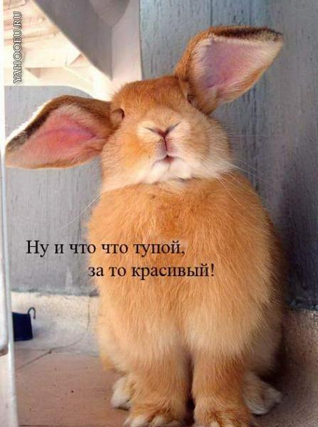 Дмитрий Умеров