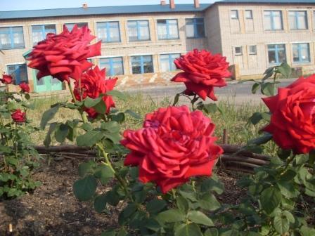 Лидия Антипова