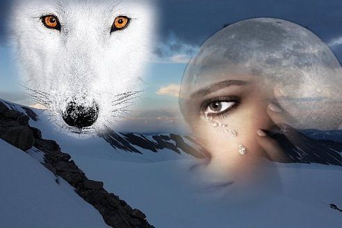 Елена Табачкова