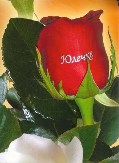 Юлия Никитина(Ломако)