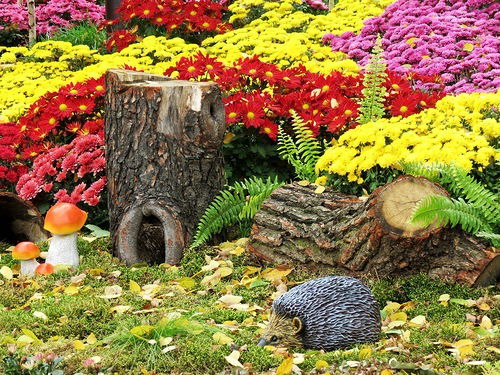 Елена Горбункова