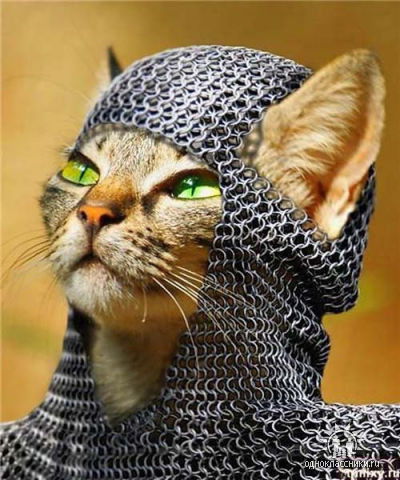 Игорь Годердзишвили