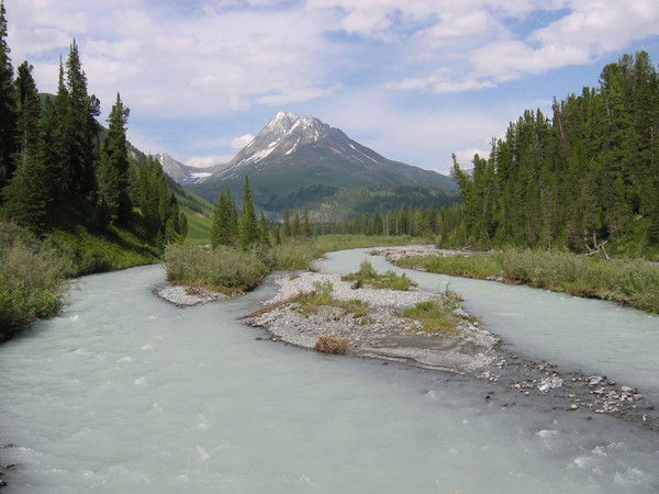 Максат Максат