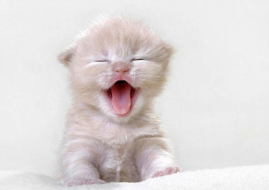 Мария Жадан