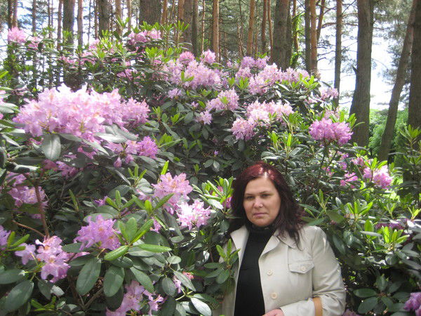 Елена Араби