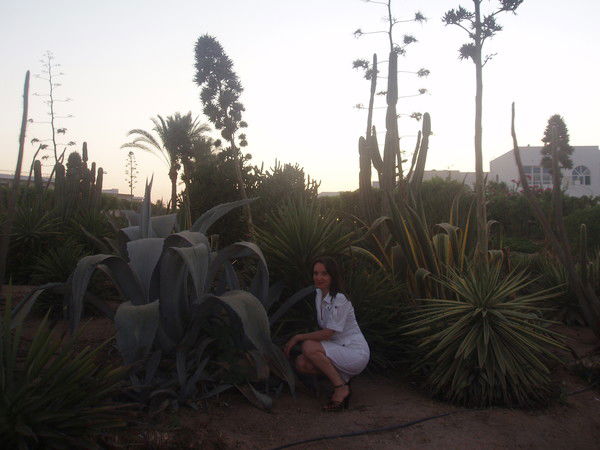 Елена Суховарова