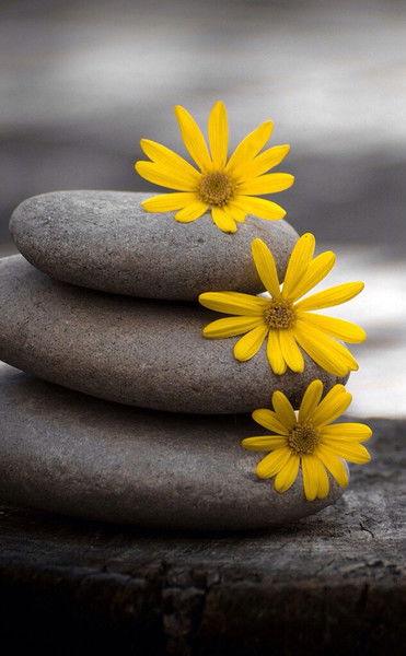 Елена Рябова