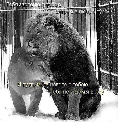 Сергей Иваненко