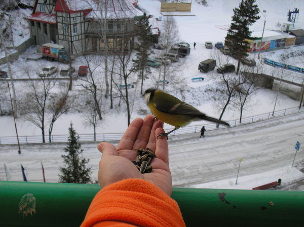 Ирина Никифорова