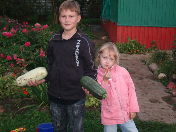 Даниил Арнаут