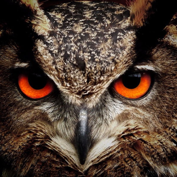 Наталья Аистова