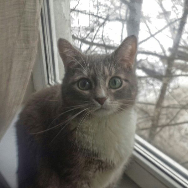 Александр Настин