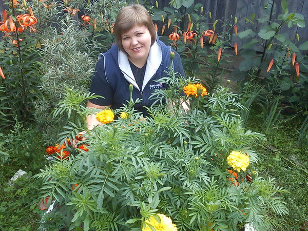 Наталья Кривоногова