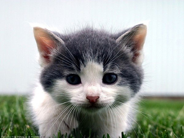 Жанна Мотрохина