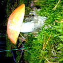 Иванов Станислав