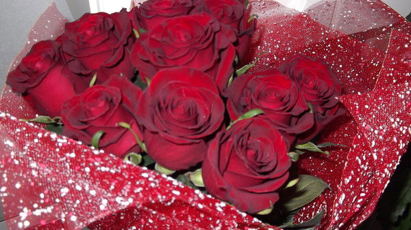 Олька Веселова