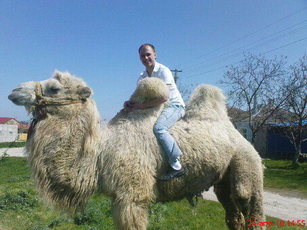 Андрей Калачев