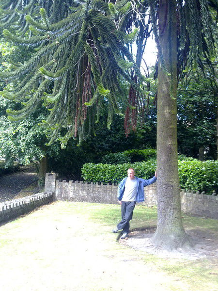 Алексей Мейранс