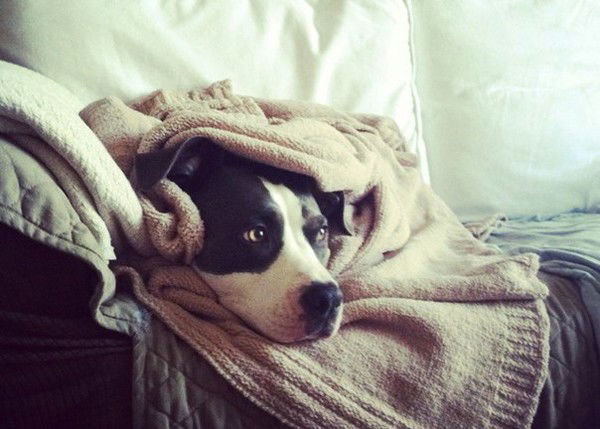 Эрик Магадеев