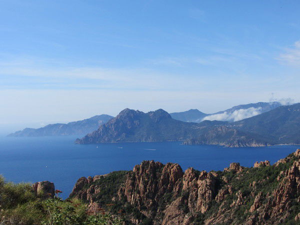 Ирина Поддубная