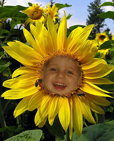 Яна Абаимова