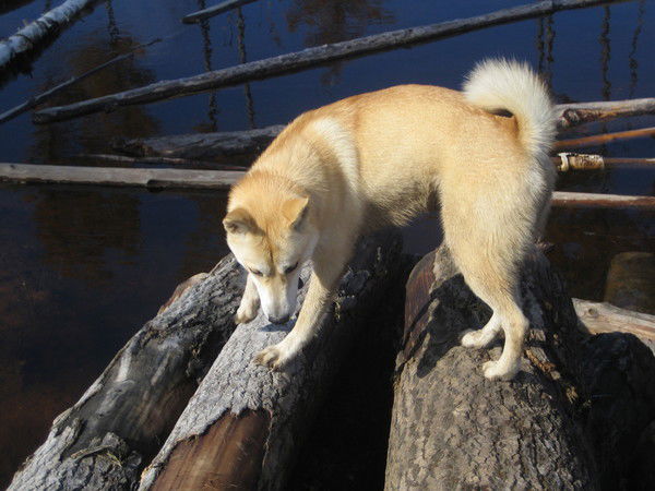 Таня Кочерган