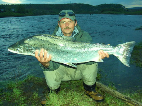 Николай Постыко