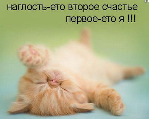 Вадим Володин