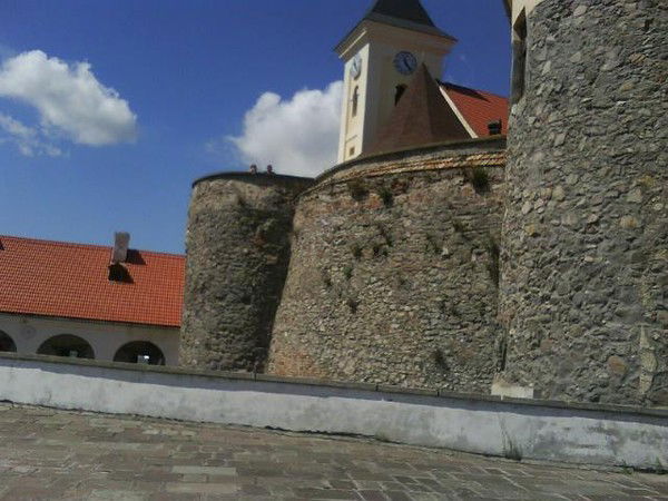 Георгина Чубирка