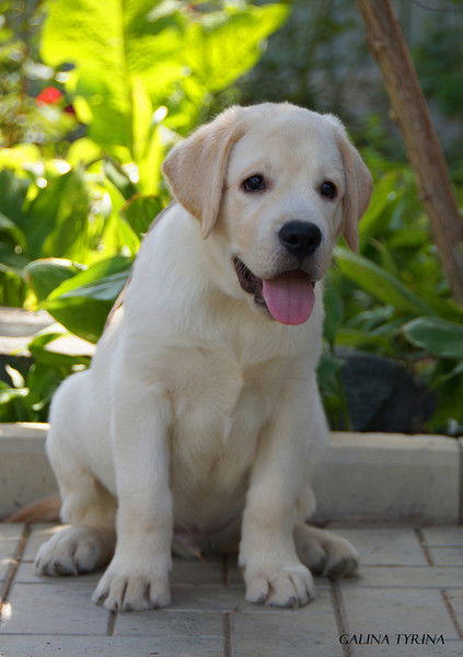 Наталья Погосян